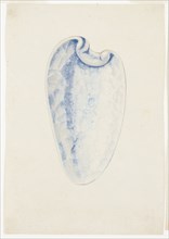 Overview of Lavender Elongated Shell, n.d., Giuseppe Grisoni, Italian, born Flanders, 1699-1769,