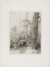 Bramble and Ivy, 1845, Eugène Blery, French, 1805-1887, France, Etching, with additions in dark