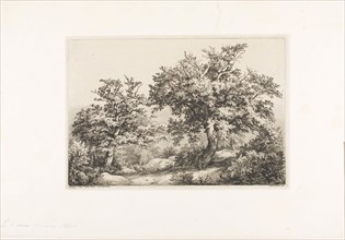 The Two Oaks, Fontainebleau, 1842, Eugène Blery, French, 1805-1887, France, Etching, roulette, and