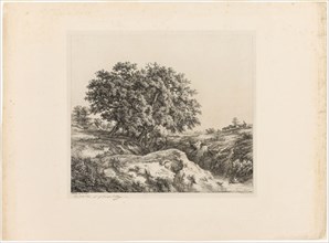 The Bouquet of Trees, or The Lindens (Souvenir of the Sarthe), 1861, Eugène Blery, French,