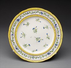 Plate, 1788, Sèvres Porcelain Manufactory, French, founded 1740, Painted by André-Vincent