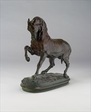 Cheval Turk, 1850/1900, Antoine Louis Barye, French, 1795-1875, France, Bronze, 27.9 × 45.1 cm (11