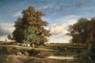 The Marsh, 1840, Constant Troyon, French, 1810-1865, France, Oil on canvas, 36 1/2 × 55 in. (93 ×