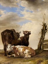 Two Cows and a Young Bull beside a Fence in a Meadow, 1647, Paulus Potter, Dutch, 1625-1654,