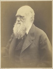 Charles Darwin, 1868, Julia Margaret Cameron, English, 1815–1879, England, Albumen print, 30.5 × 23