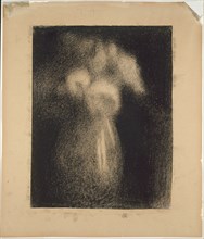 Roses in a Vase, 1881/83, Georges Seurat, French, 1859-1891, France, Black Conté crayon on ivory