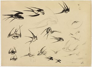 The Swallows, c. 1881, Félix Henri Bracquemond, French, 1833–1914, France, Pen and brush and black