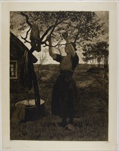 The Apple Tree, c. 1885, Willem Witsen, Dutch, 1860-1923, Holland, Etching on tan laid paper, 467 x