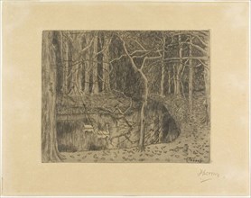 Woodland with a Pond and Swans, 1897, Jan Toorop, Dutch, 1858-1928, Holland, Drypoint on cream