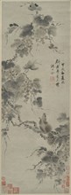 Squirrel and Grapes, 1694, Shen Yongling, Chinese, 1614-1698, China, Hanging scroll, ink and color
