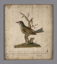 Picture of a Bird, 18th century, France, Silk, satin weave, embroidered with silk in satin and stem