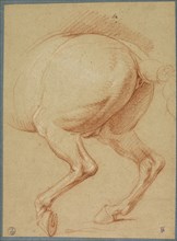 The Hind Legs of a Horse, n.d., Charles Le Brun, French, 1619-1690, France, Red and white chalk on