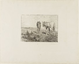 Horses’ Rest, c. 1885, Giovanni Fattori, Italian, 1825-1908, Italy, Etching with drypoint and foul