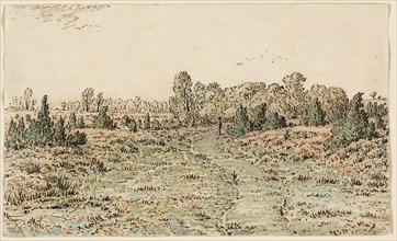 Footpath in the Barbizonnières, 1864, Theodore Rousseau, French, 1812-1867, France, Pen and brown