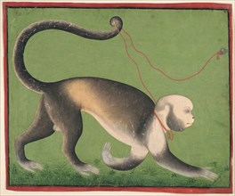A Monumental Portrait of a Monkey, c. 1705–1710, India, Rajasthan, Mewar, Udaipur, attributed to