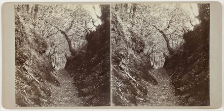 Untitled (Lydford), 1860s, Devon, Albumen print, stereo, 8.2 × 7.6 cm (each image), 8.6 × 17.7 cm