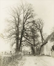 Kelmscott Manor: Road and Entrance, 1896, Frederick H. Evans, English, 1853–1943, England, Lantern