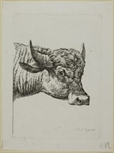 Head of a Buffalo, from Die Zweite Thierfolge, 1800, Johann Christian Reinhart, German, 1761-1847,