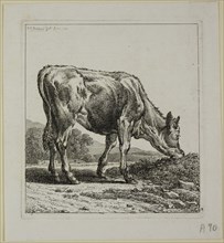 Calf Feeding, from Die Zweite Thierfolge, 1800, Johann Christian Reinhart, German, 1761-1847,