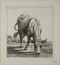 Cow Drinking, from Die Zweite Thierfolge, 1800, Johann Christian Reinhart, German, 1761-1847,