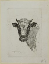 Head of a Young Bull, from Die Zweite Thierfolge, 1803, Johann Christian Reinhart, German,