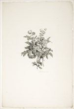 Bouquet with Peonies, from Collection of Different Bouquets of Flowers, Invented and Drawn by Jean