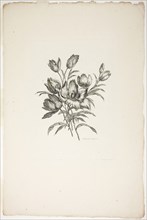 Bouquet with Tulips, from Collection of Different Bouquets of Flowers, Invented and Drawn by Jean