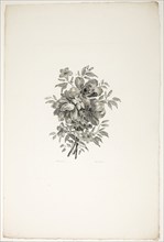 Bouquet with Poppies, from Collection of Different Bouquets of Flowers, Invented and Drawn by Jean