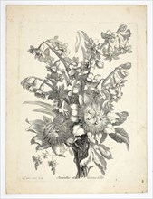 Hyacinthe and Passion Fruit Flower, plate two from Mes Petits Bouquets, n.d., Charles Germain de