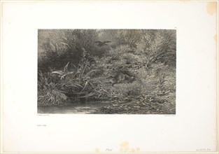 Fox on the Prowl, 1840/49, Karl Bodmer, Swiss, 1809-1893, Switzerland, Lithograph on paper, 182 x