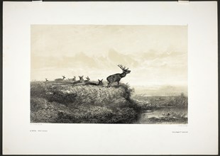 The Morning: Stags and Does, 1858, Karl Bodmer, Swiss, 1809-1893, Switzerland, Tint lithograph on