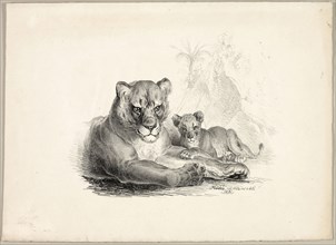 Lion with Cubs, 1831, Johann Höchle, German, 1790-1835, Germany, Lithograph on cream wove paper,