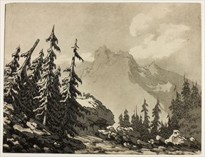 Pine Trees in the Mountains, 1789, John Robert Cozens, English, 1752-1799, England, Aquatint and