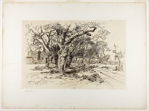 Mulford’s Orchard, Easthampton, 1883, Thomas Moran, American, born England, 1837-1926, United