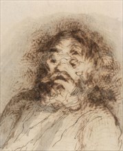 Bearded Man, n.d., Honoré Victorin Daumier, French, 1808-1879, France, Pen and brown iron gall ink