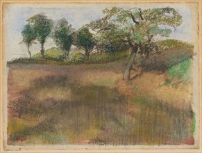 Ploughed Field Bordered by Trees, c. 1892, Edgar Degas, French, 1834-1917, France, Pastel, over