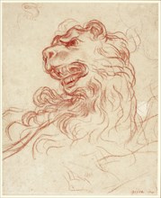 Study of the Head of a Lion, n.d., Baldassare Franceschini, called Volterrrano, Italian, 1611–1690,