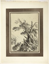 Landscape with Old Trees by Water, from the first issue of Specimens of Polyautography, 1803, Henry