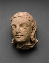 Head of a Female Adorant, 4th/5th century, Afghanistan or Pakistan, Ancient region of Gandhara,