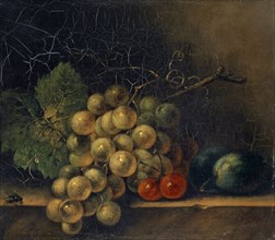 Still Life with Grape, Stone Fruit and Fly, 1686, oil on canvas, 18.5 x 20.5 cm, unsigned, Rachel