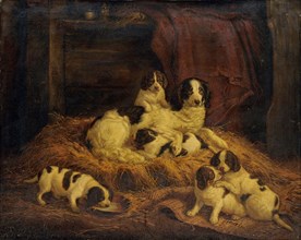 Dog family, 1845, oil on canvas, 63 x 80 cm, signed and dated on the reverse: L. Burckhardt., ad