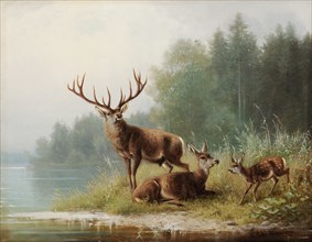 Deer at the lake, 1876, oil on canvas, 27.5 x 35 cm, signed, inscribed and dated lower right: M.
