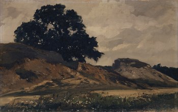 Hilly landscape with large tree, 1860-1890, oil on canvas, 26.5 x 42.5 cm, signed lower right: O.