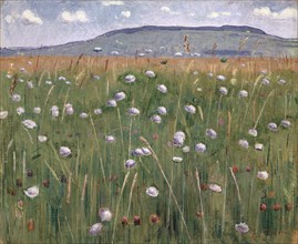 Meadow piece, around 1901, oil on canvas, 38.2 x 46.3 cm, signed lower right: F. Hodler., Ferdinand