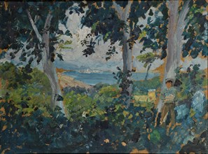 View through a grove of southern bay, oil on cardboard, 26 x 34.5 cm, Ernst Schiess, Basel