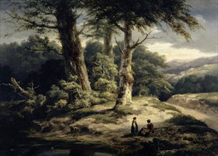 Forest landscape, 1840-1845, oil on oak wood, 39 x 53.7 cm, Alexandre Calame, Vevey 1810–1864