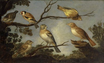 Birds in the branches of a tree, oil on oak wood, 30.5 x 49 cm, not specified, Jan van Kessel d. Ä