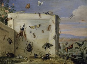 Insects on a stone slab, oil on copper, 17.5 x 23.5 cm, unsigned, Jan van Kessel d. Ä., Antwerpen
