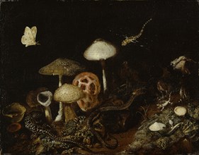 Reptiles, mushrooms and butterflies, oil on canvas, 32.5 x 41.5 cm, unsigned, Otto Marseus van