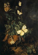 Still life with butterflies, lizard and snake, oil on oakwood, 29.5 x 21 cm, monogrammed on the